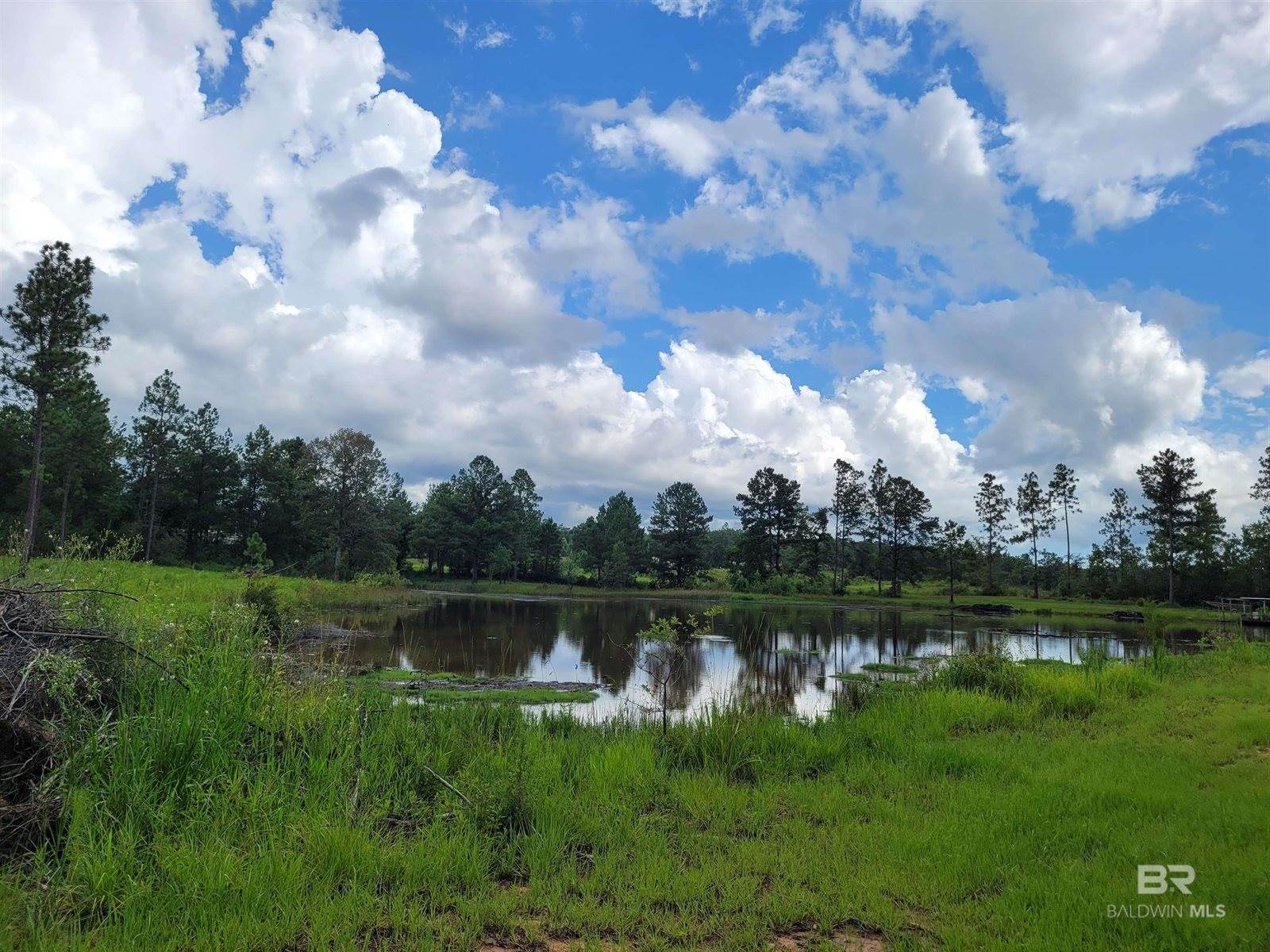 39449 South State Highway 59, Bay Minette, AL 36507