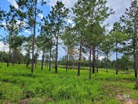 39449 South State Highway 59, Bay Minette, AL 36507