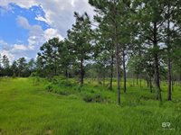 39449 South State Highway 59, Bay Minette, AL 36507