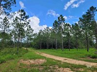 39449 South State Highway 59, Bay Minette, AL 36507