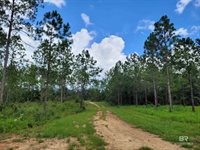39449 South State Highway 59, Bay Minette, AL 36507