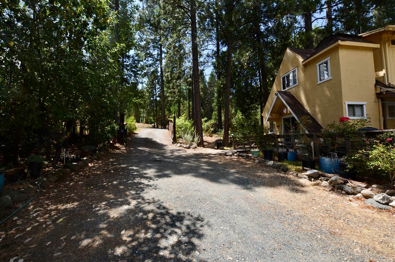 1297 Bummerville Road, West Point, CA 95255