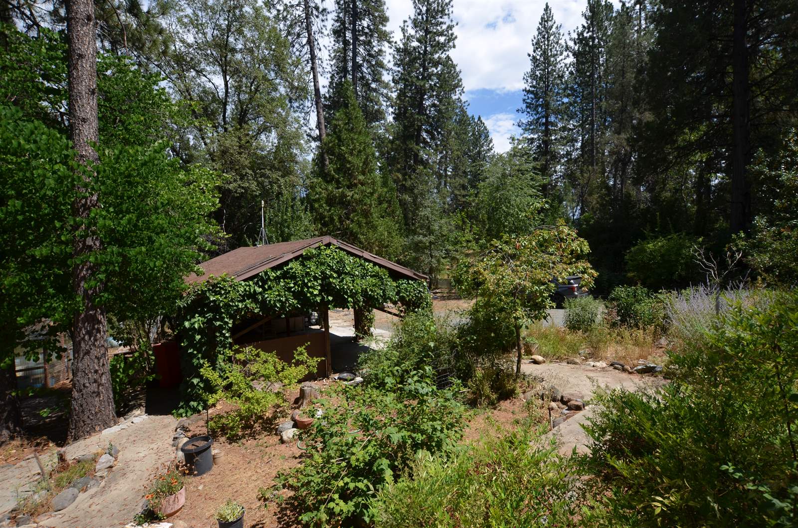 1297 Bummerville Road, West Point, CA 95255