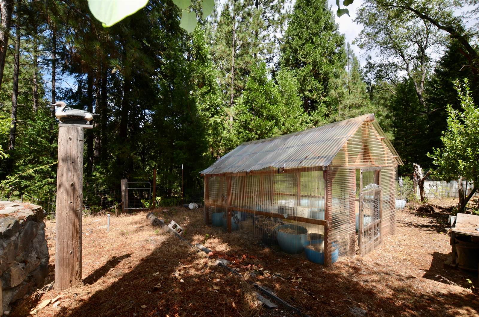 1297 Bummerville Road, West Point, CA 95255