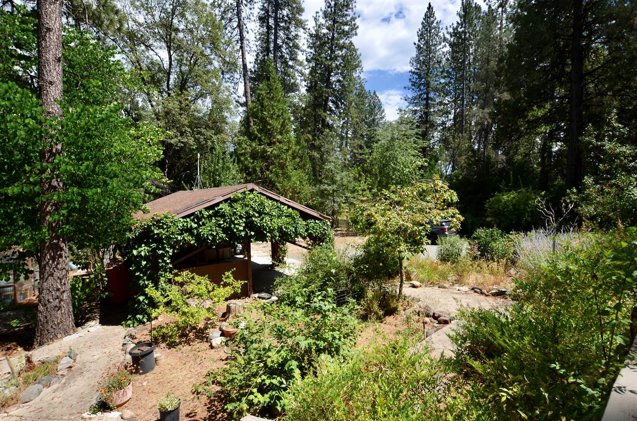 1297 Bummerville Road, West Point, CA 95255