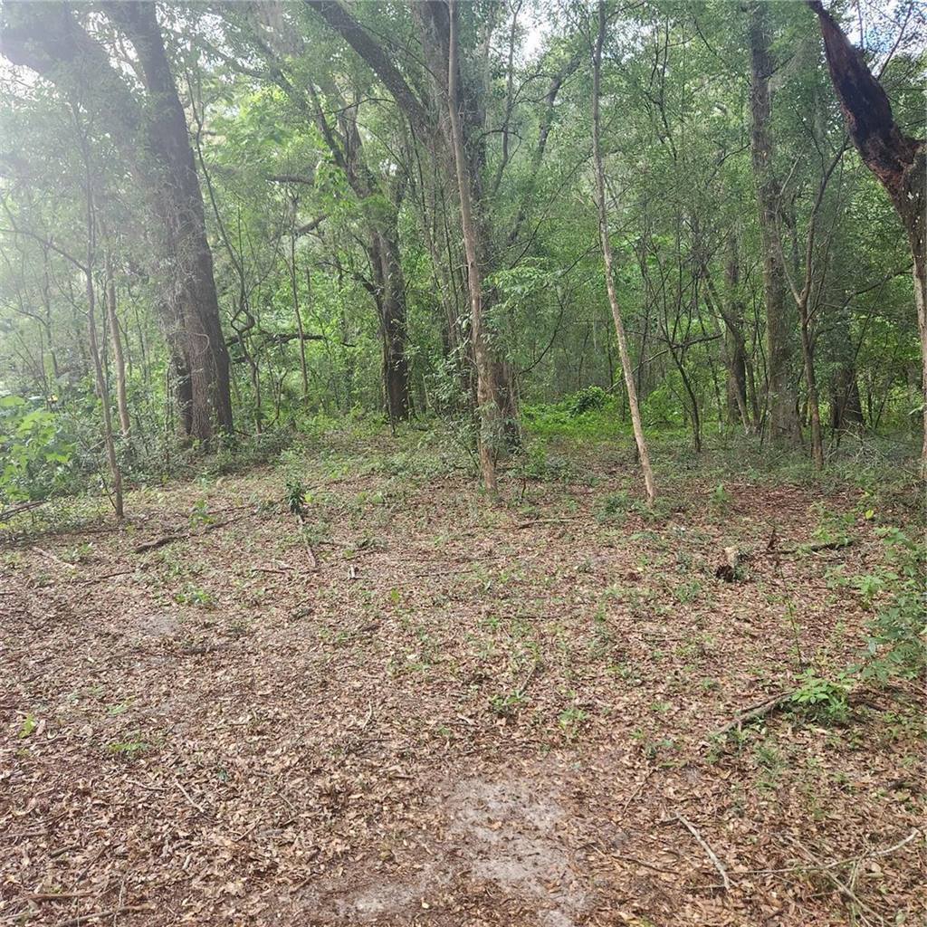 TBD SE 36TH Avenue, Ocala, FL 34480