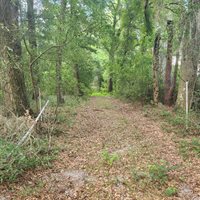 TBD SE 36TH Avenue, Ocala, FL 34480
