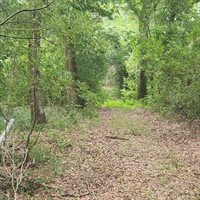 TBD SE 36TH Avenue, Ocala, FL 34480