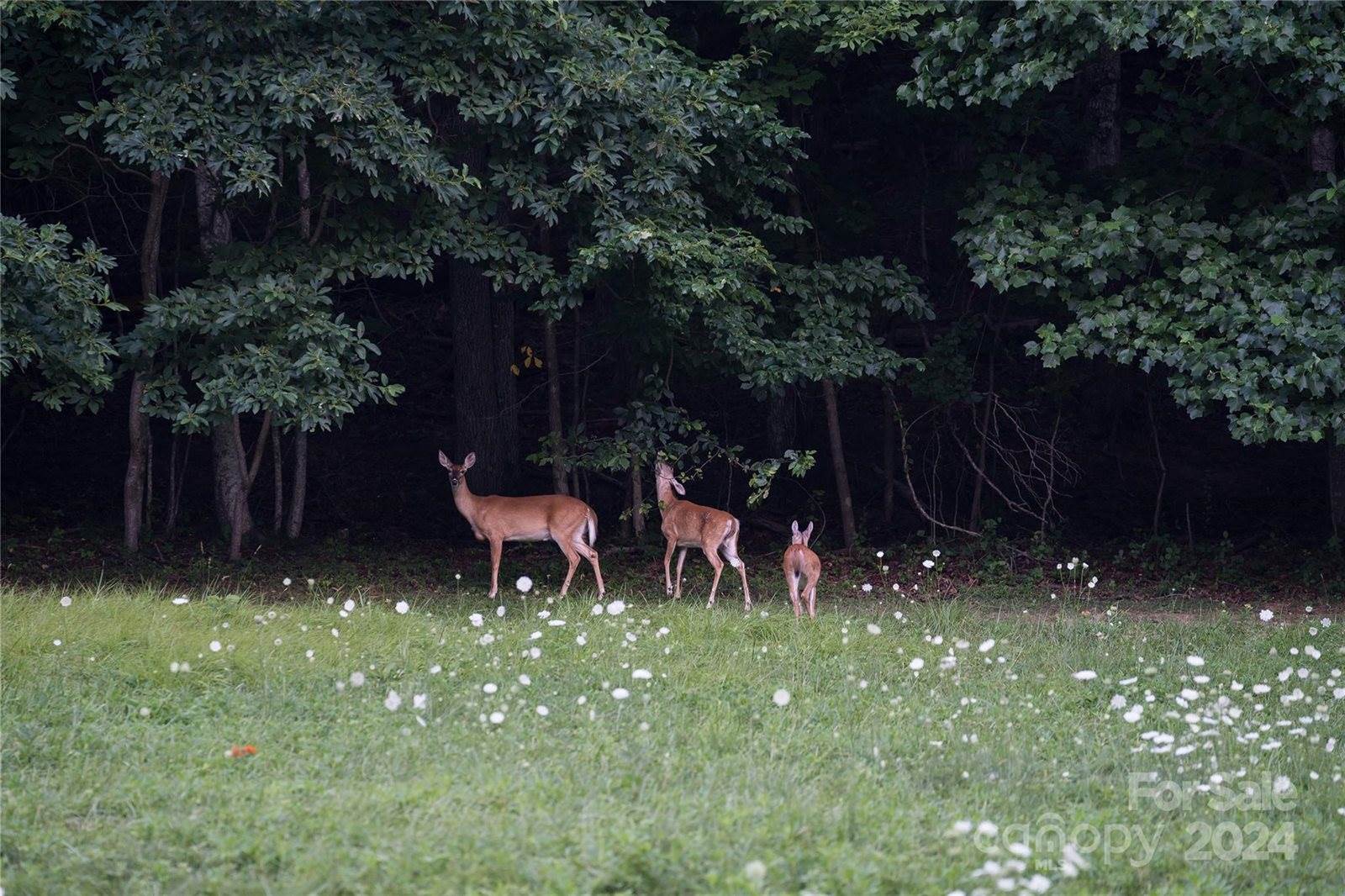 5 Cobble Hill Road, Fairview, NC 28730