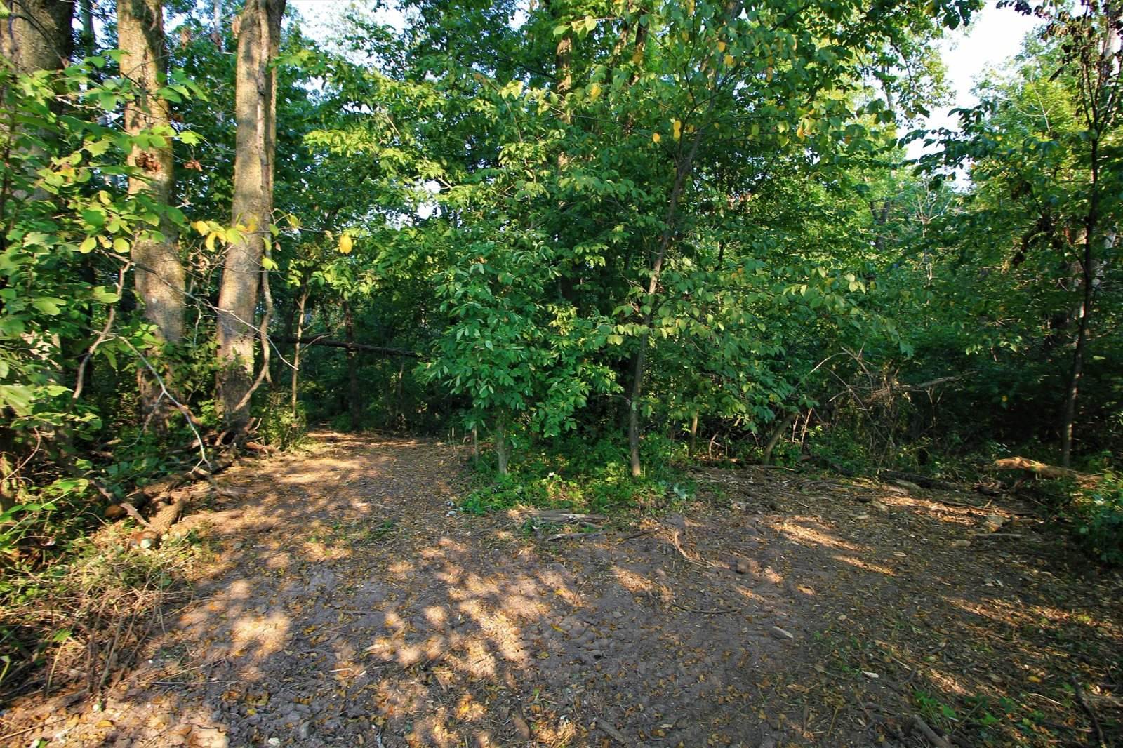 Lot 22 Deer Ct, Bergen, WI 54658