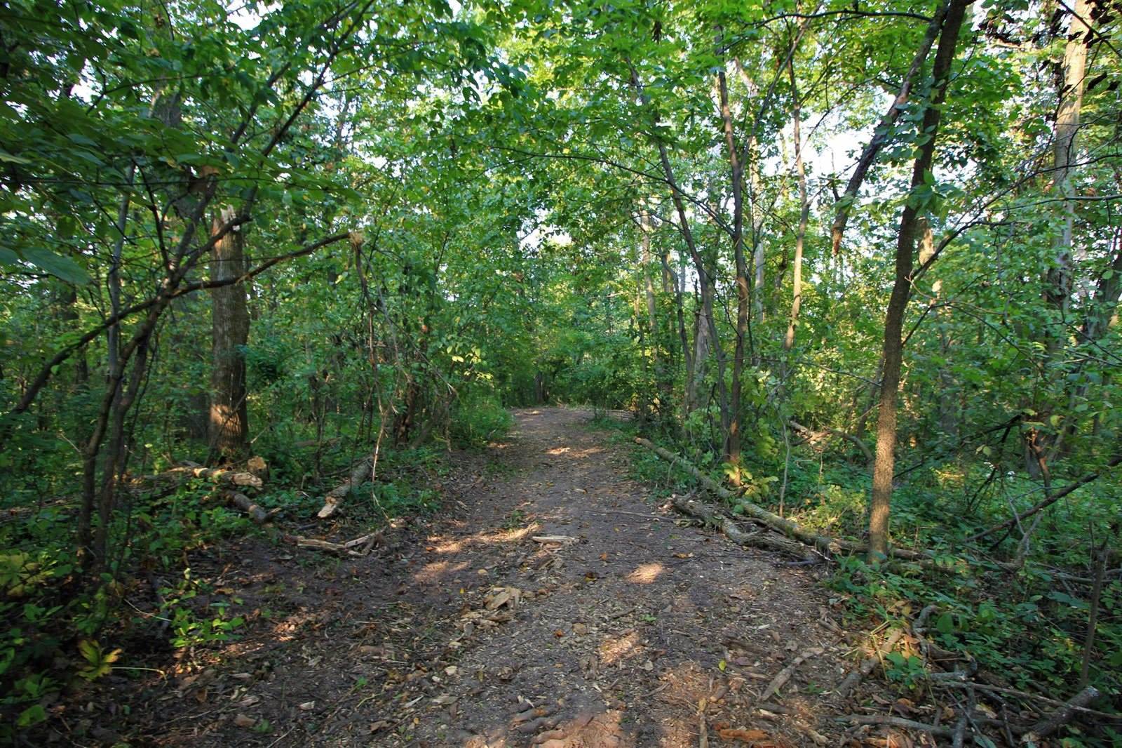 Lot 22 Deer Ct, Bergen, WI 54658