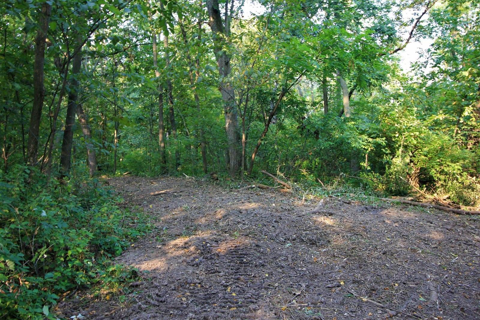 Lot 22 Deer Ct, Bergen, WI 54658