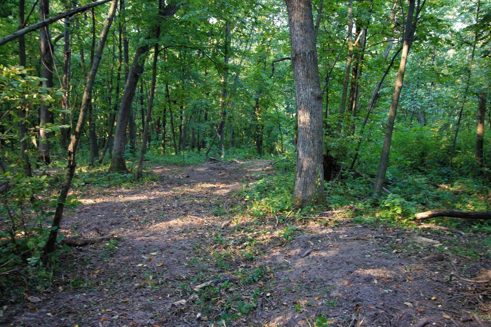 Lot 22 Deer Ct, Bergen, WI 54658