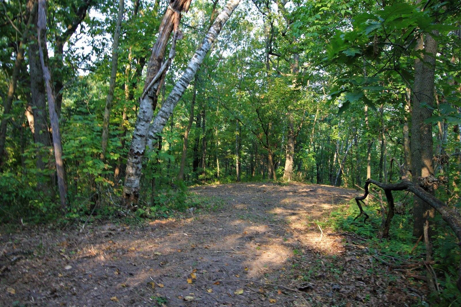 Lot 22 Deer Ct, Bergen, WI 54658