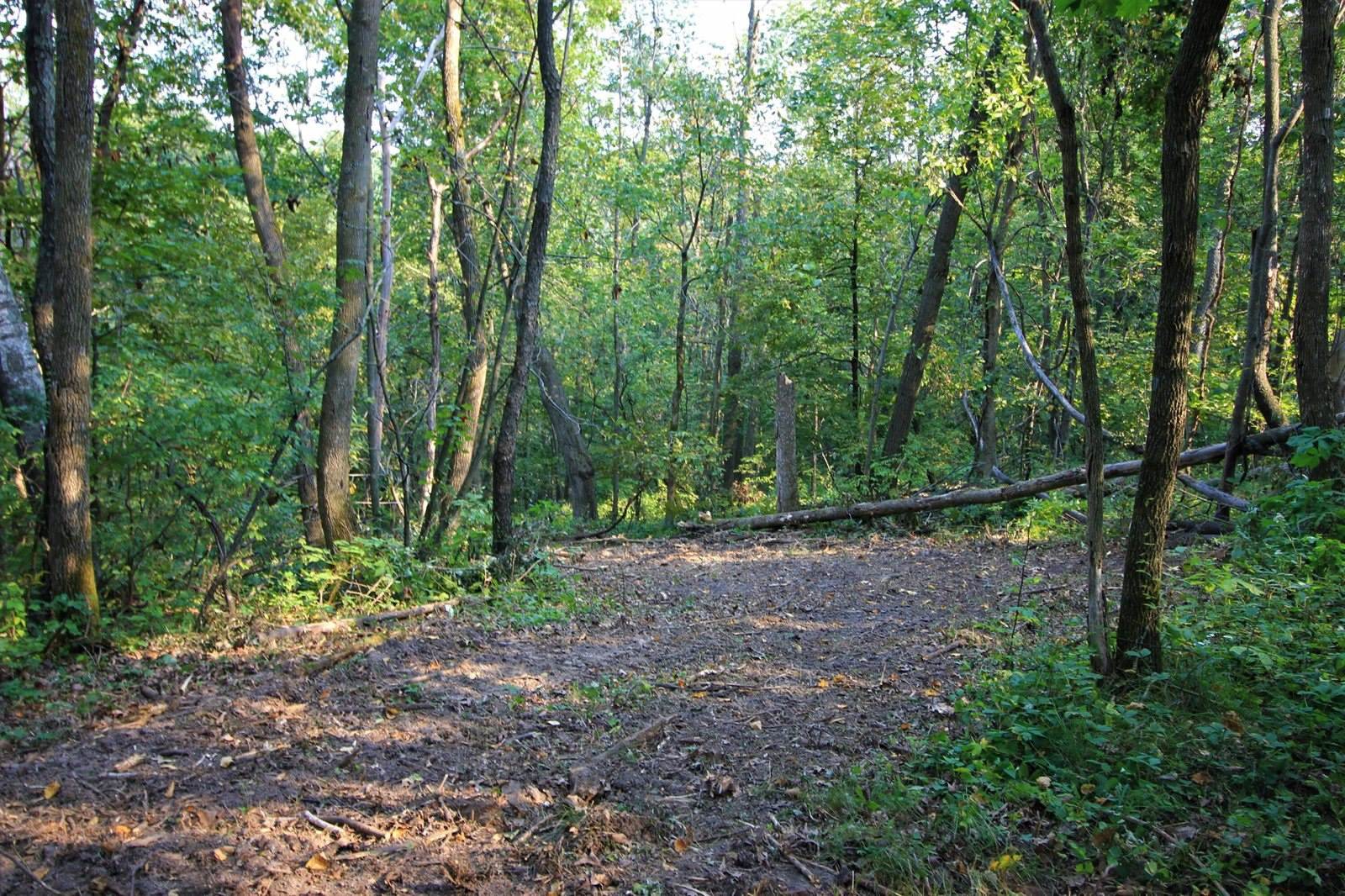 Lot 22 Deer Ct, Bergen, WI 54658