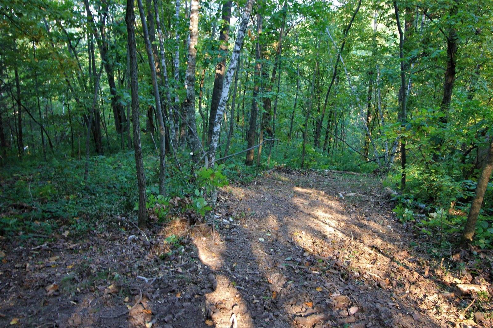 Lot 22 Deer Ct, Bergen, WI 54658