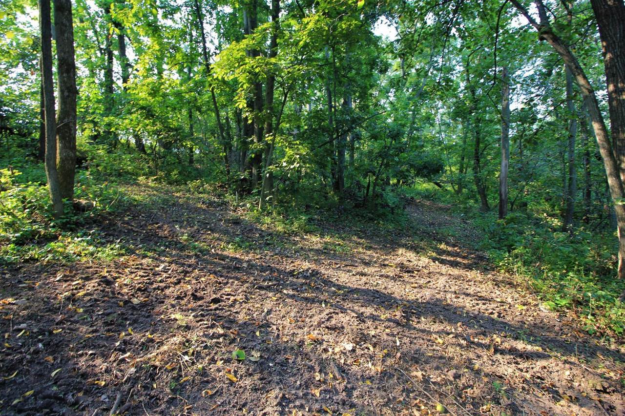 Lot 22 Deer Ct, Bergen, WI 54658