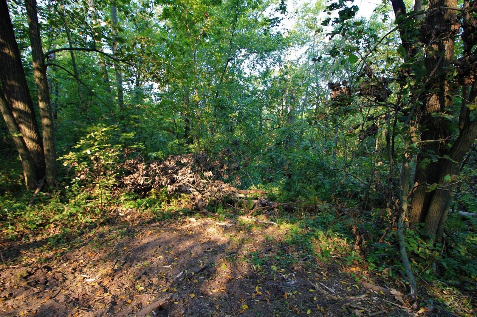 Lot 22 Deer Ct, Bergen, WI 54658