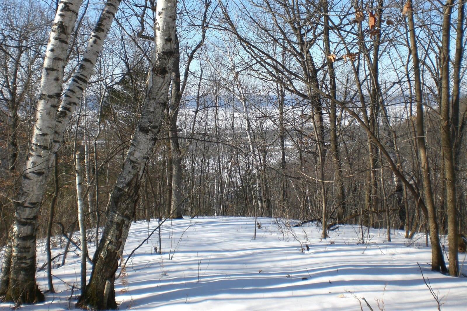 Lot 22 Deer Ct, Bergen, WI 54658