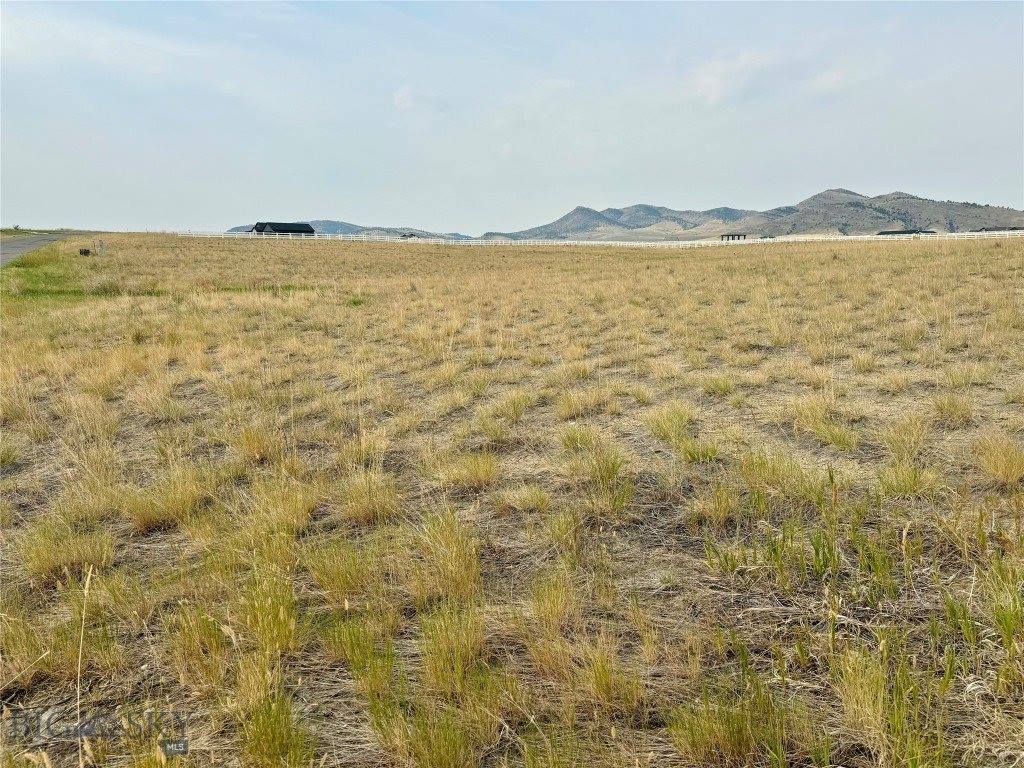 Lot 30 Lewis Drive, Three Forks, MT 59752