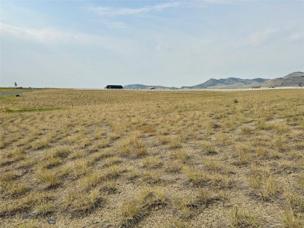 Lot 30 Lewis Drive, Three Forks, MT 59752