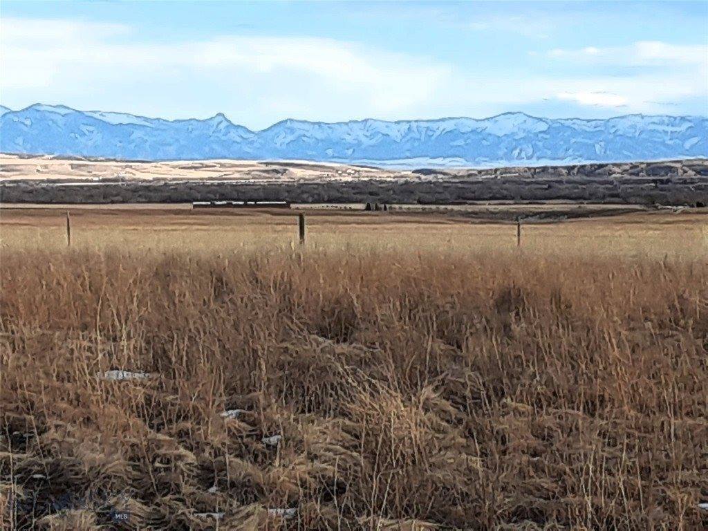 Lot 30 Lewis Drive, Three Forks, MT 59752