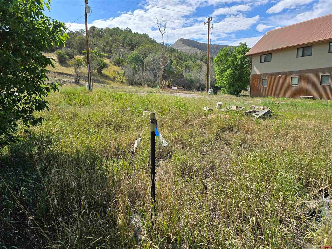 Lot 14 S Amelia Street, Ridgway, CO 81432