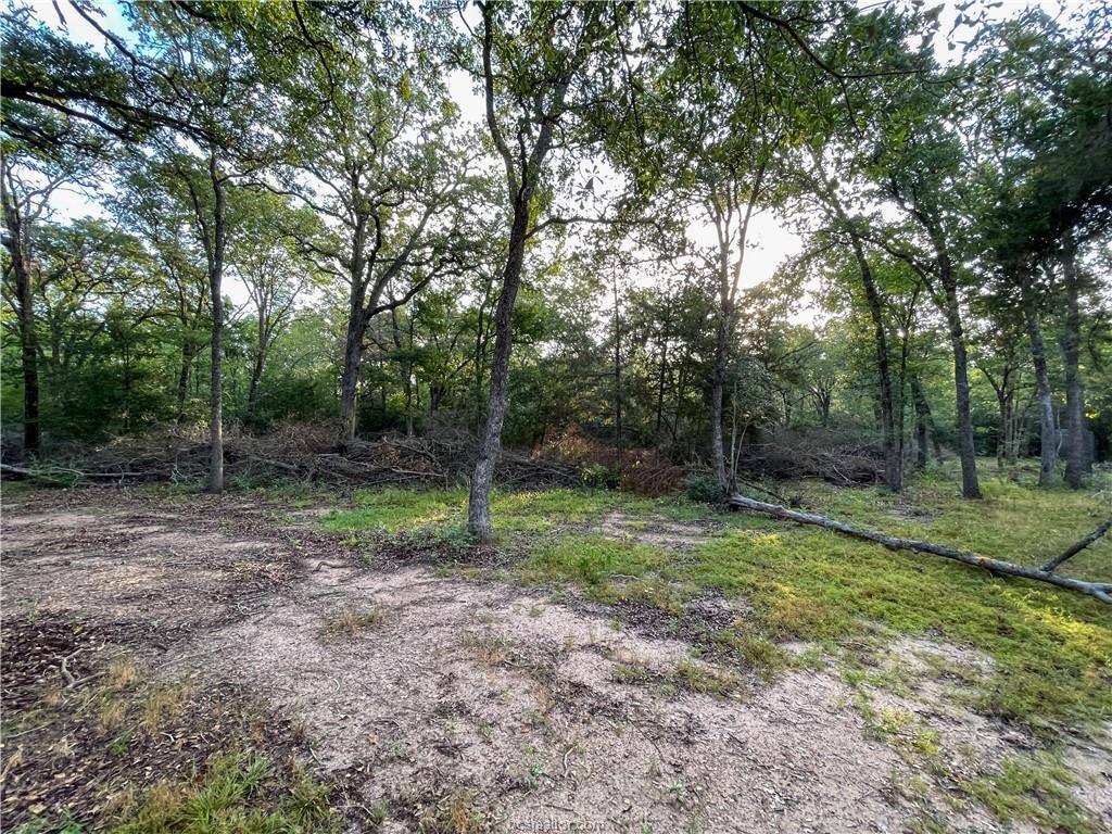 50 AC - 11624 Fm 2549, Bryan, TX 77808