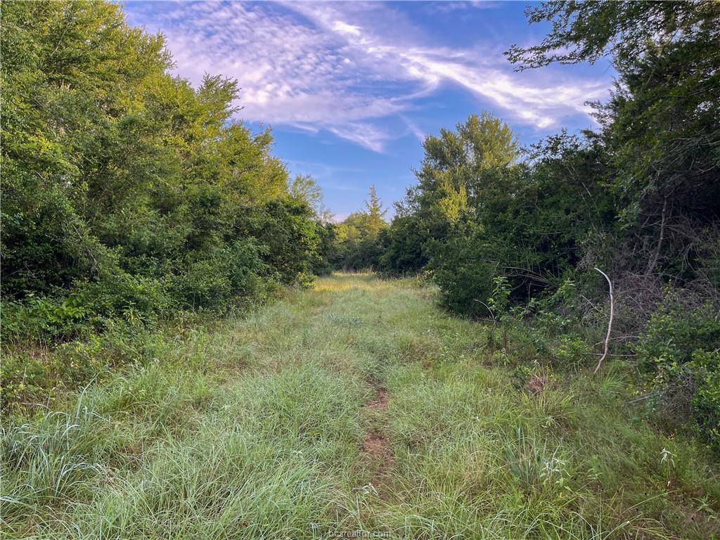 50 AC - 11624 Fm 2549, Bryan, TX 77808