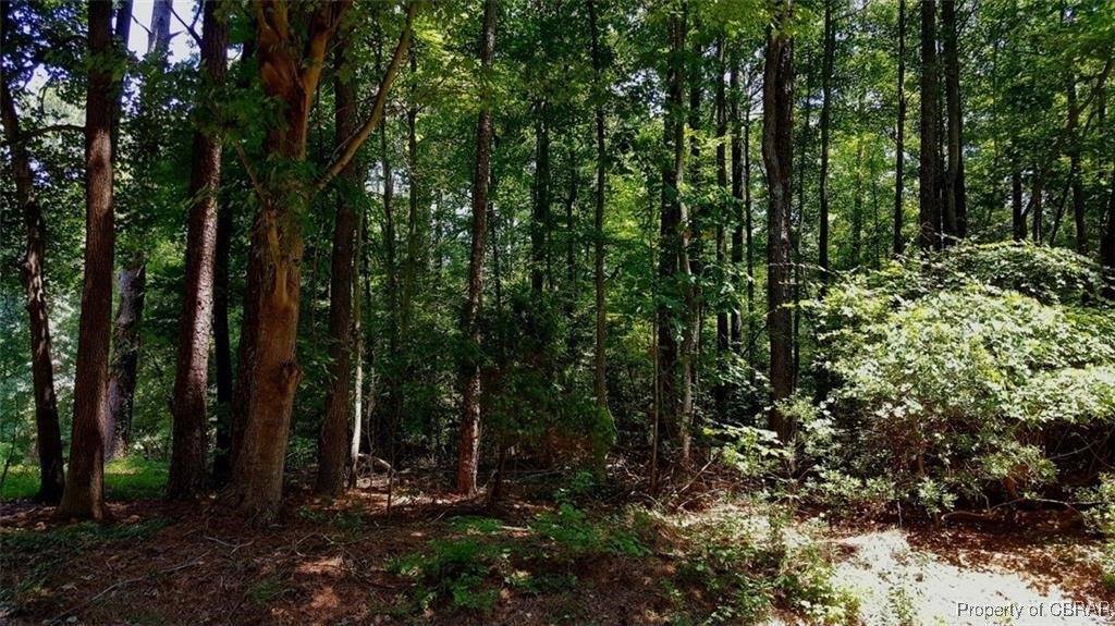 Lot 26 Waterwich Lane, Middlesex County, VA 23043