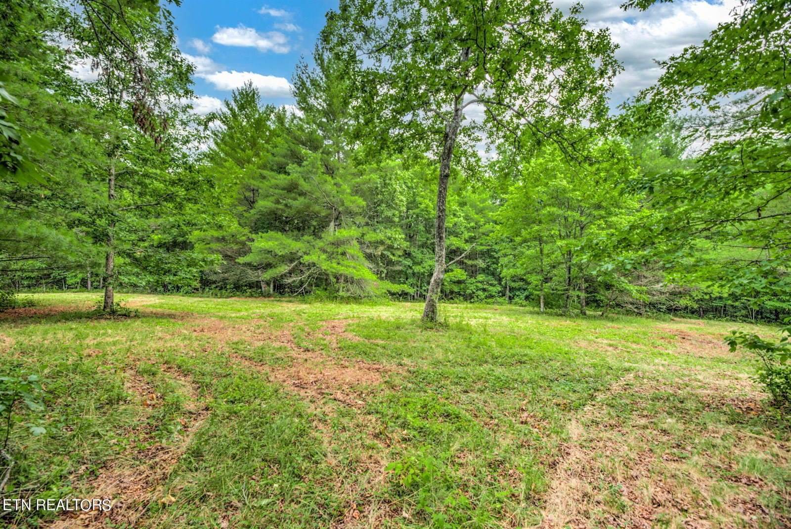 Meister Hills Rd, Deer Lodge, TN 37726