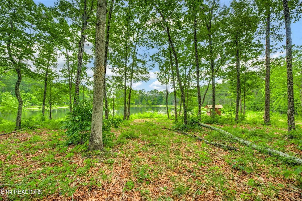 Meister Hills Rd, Deer Lodge, TN 37726