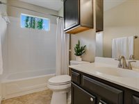 3110 Blazing Star Trl, Cedar Park, TX 78613