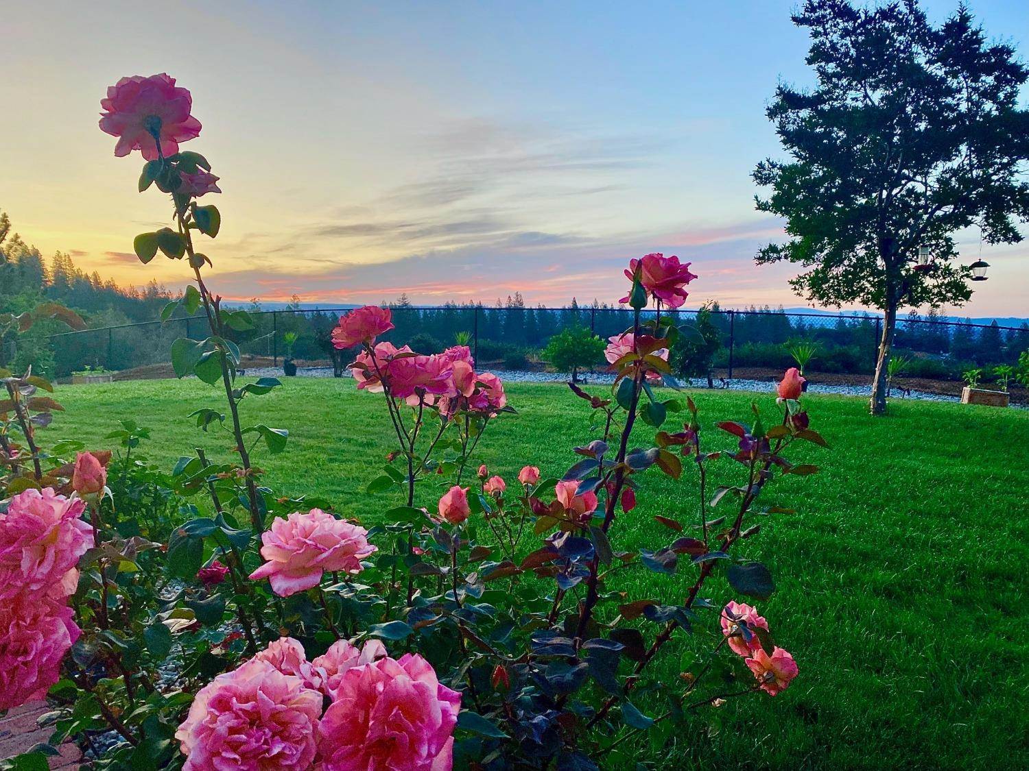 381 Cheryl Lane, Applegate, CA 95703