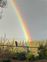 381 Cheryl Lane, Applegate, CA 95703