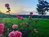 381 Cheryl Lane, Applegate, CA 95703