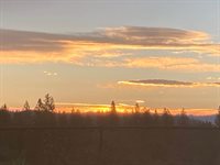 381 Cheryl Lane, Applegate, CA 95703