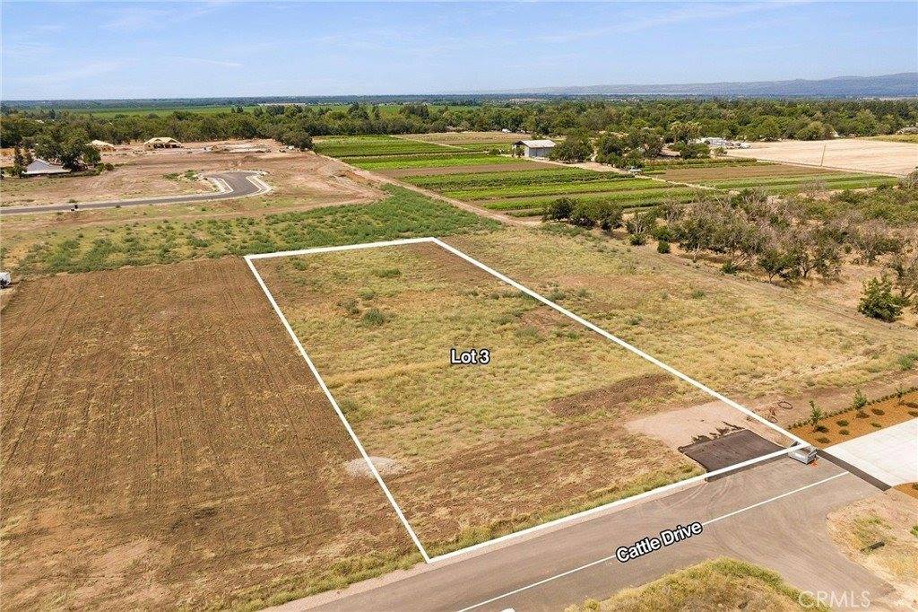 33 Cattle Drive Court, Chico, CA 95973