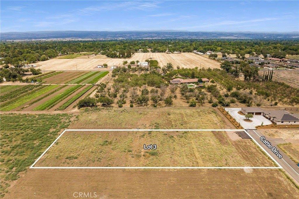 33 Cattle Drive Court, Chico, CA 95973