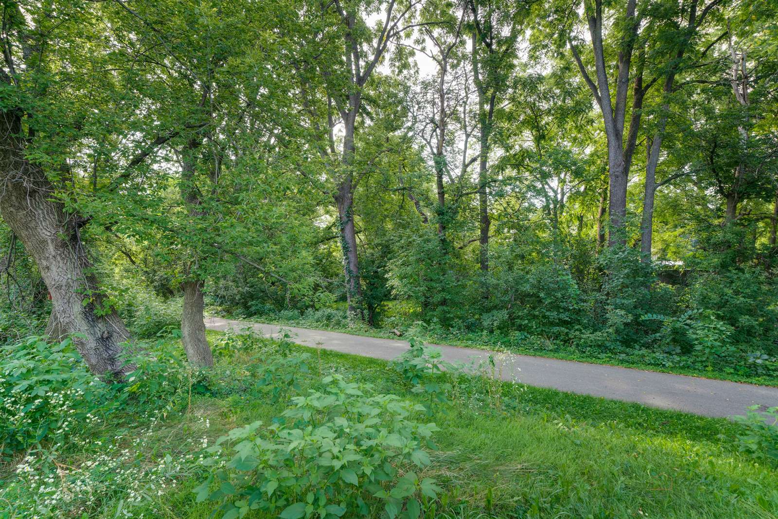 N63w23509 Main St, Sussex, WI 53089-3115