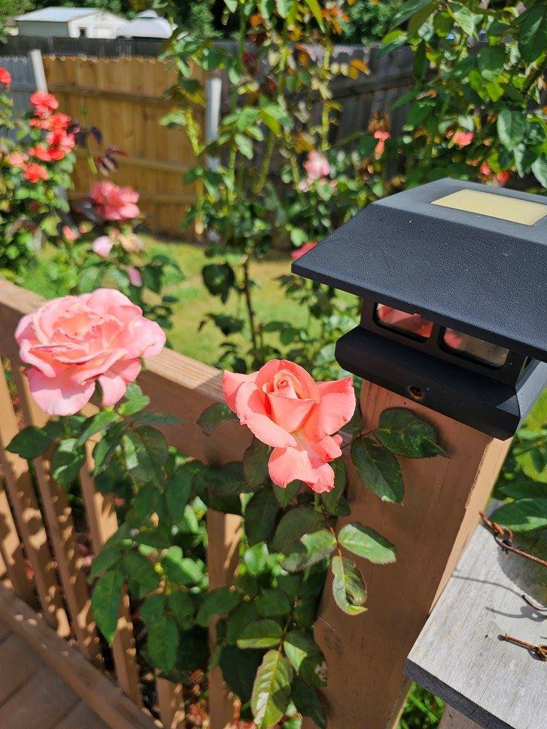 1647 Breeds Hill Loop, Columbus, GA 31907