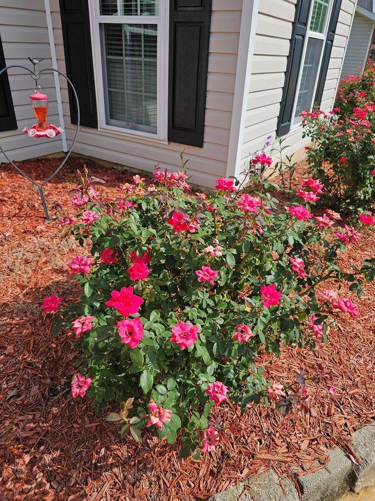 1647 Breeds Hill Loop, Columbus, GA 31907