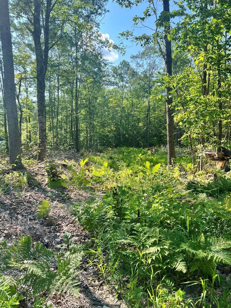 Lot #18 Buck Hill Drive, Veazie, ME 04401