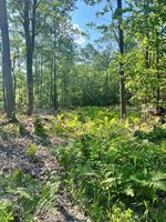 Lot #18 Buck Hill Drive, Veazie, ME 04401