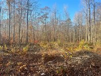 Lot #18 Buck Hill Drive, Veazie, ME 04401