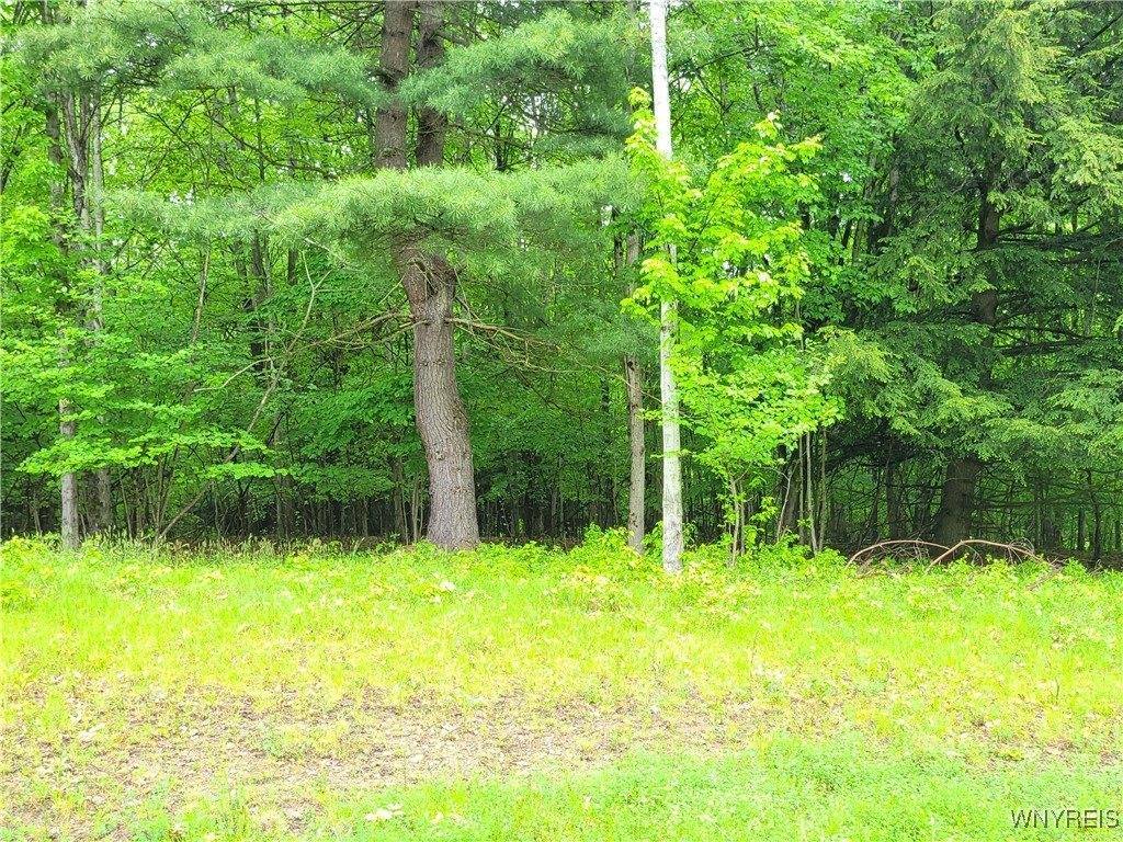 0 Cr-24- Lot 18, Grove, NY 14884