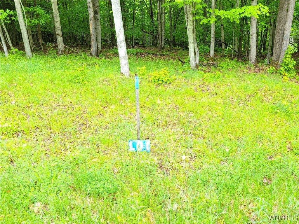 0 Cr-24- Lot 18, Grove, NY 14884