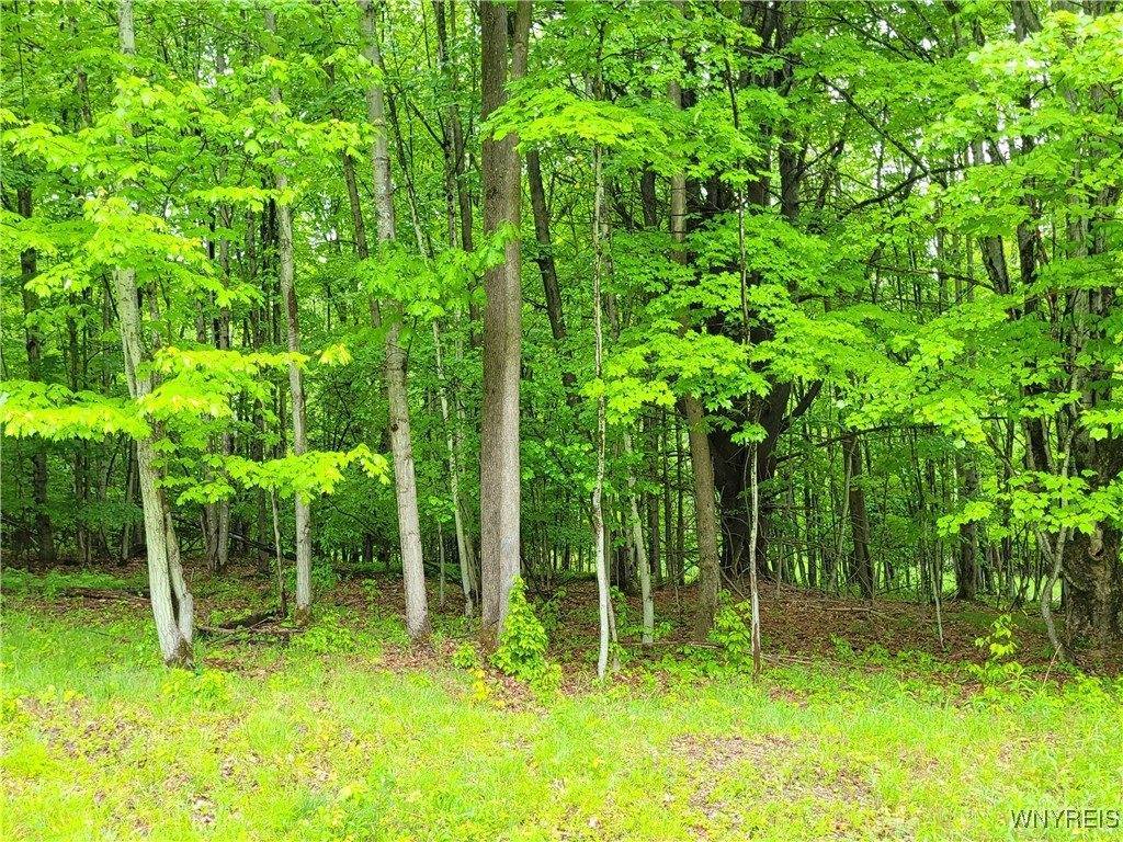 0 Cr-24- Lot 18, Grove, NY 14884