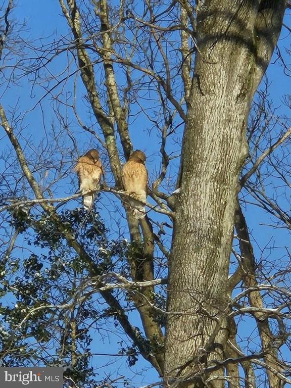 21531 Waterview Road, Lewes, DE 19958