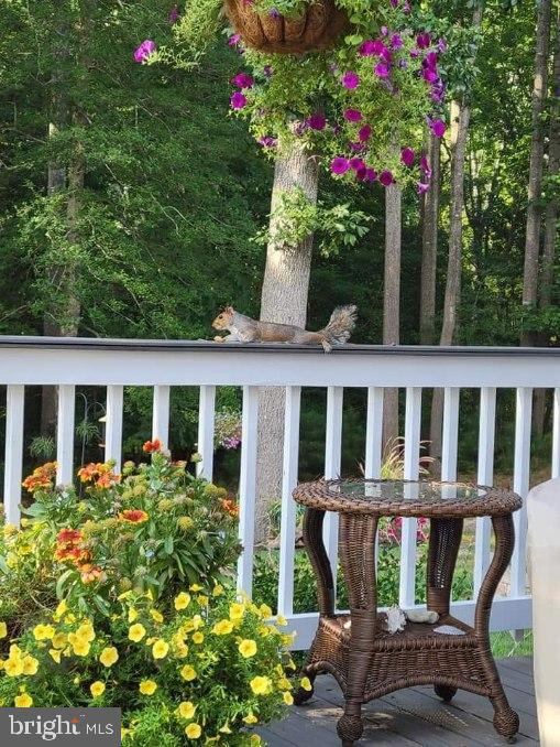 21531 Waterview Road, Lewes, DE 19958